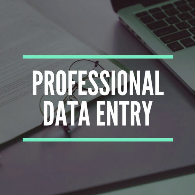 Professional Data Entry Services
